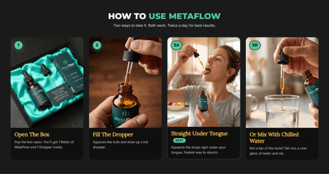 Instructions showing how to use MetaFlow effectively in a daily routine